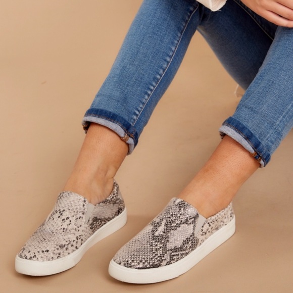 Steve Madden Shoes - Steve Madden Snakeskin Slip-On Sneakers
